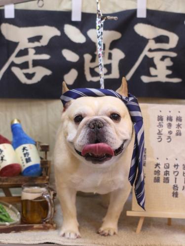 20240608こてつくん